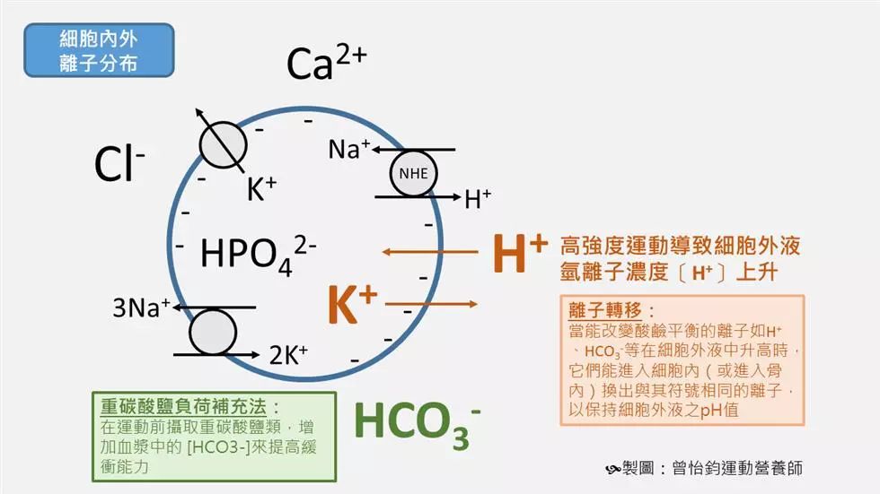 阈值锻炼_有氧阈值训练_提高有氧运动阈值